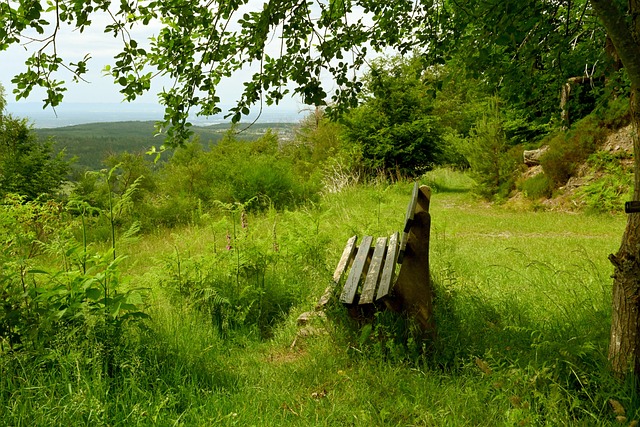 赛时机的精 赛时机的精