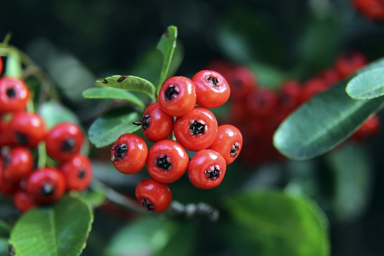 目进行了科 目进行了科