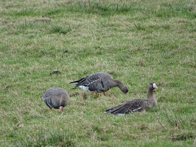 国寿财险青岛市分公司倾力助阵CBA联赛，护航市民美好生活.
