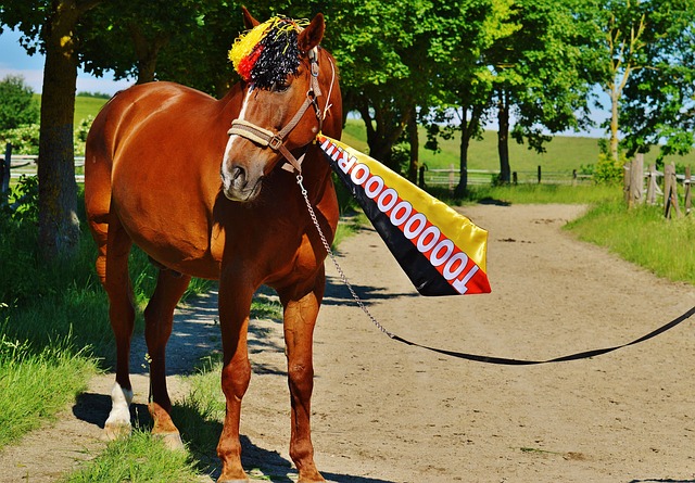 以来受到球 以来受到球