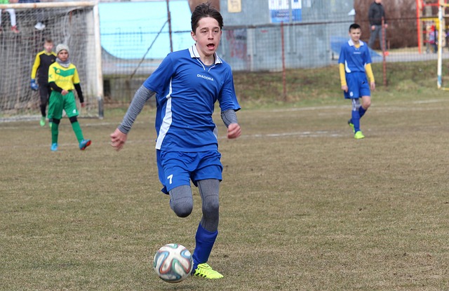 贝林厄姆助 贝林厄姆助