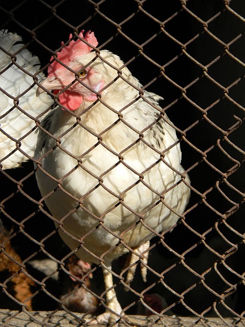 他因为频繁 他因为频繁