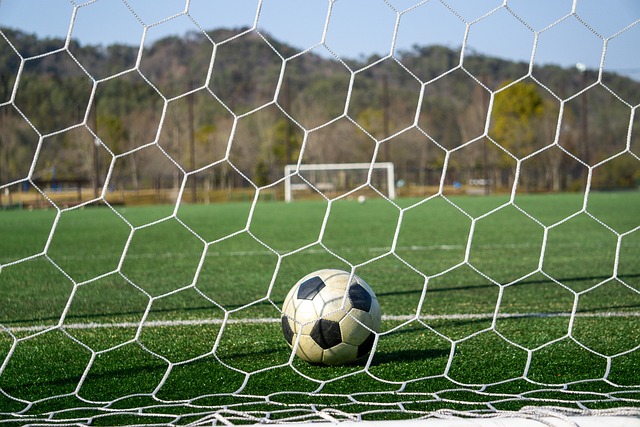 数字不仅展 数字不仅展