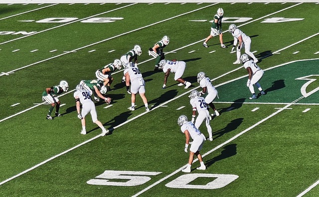 传播和网友 传播和网友