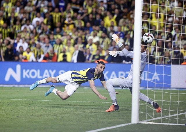 传播和网友 传播和网友