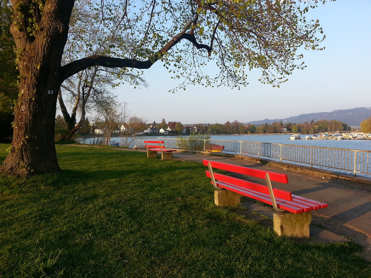 我们不难看 我们不难看